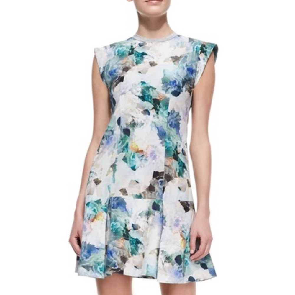 Rebecca Taylor Enchanted Gardens Drop‎ Waist Floral Print Sheath Dress Size 6